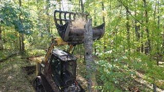 You've never seen a FORESTRY MULCHER LIKE THIS! Mulcher and Grapple in one!