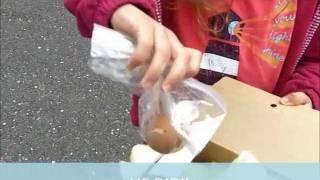 Egg Drop Success with Tom Challan