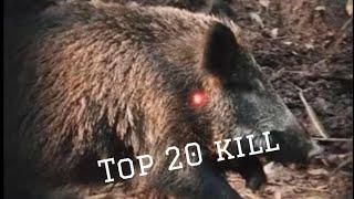 Compilations chasse aux sangliers 20 tirs / 20 kill