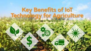 Key Benefits of IoT Technology for Agriculture