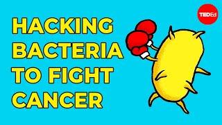 Hacking bacteria to fight cancer - Tal Danino