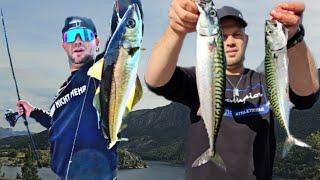 Pollack und Makrele am laufenden Band | Angeln Norwegen #angeln #fishing #norwegian #norwegen #BigS