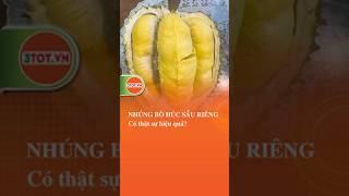 Nhúng bò húc sầu riêng có làm chín trái nhanh hơn, cơm vàng bột ngọt? #saurieng #durian #shorts