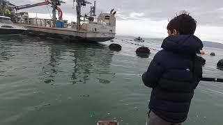 Kian the kiwi kid - Fishing in Thames.