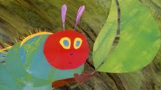 WP Hungry Caterpillar