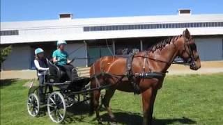 Saanichton Field Driving Trials 2017