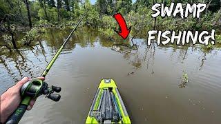 This tiny Swamp had GIANT Bass!