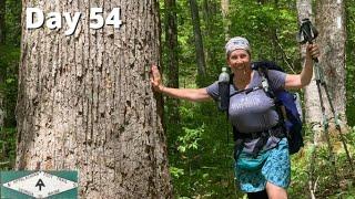 Day 54 | A visit to Uncle Nick, and Trail Thoughts in Shady Valley, TN on the Appalachian Trail