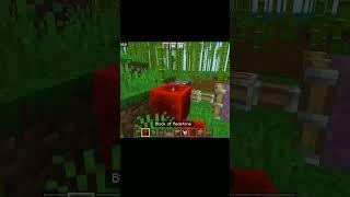 Minecraft you can hide chest #shorts #viralvideo #yashyt