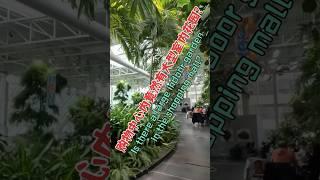 购物中心内竟然有大型室内花园? Is there a large indoor garden in the shopping mall?