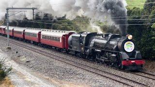 The Weekend of Steam Galore on the Suburban Network | School Holiday Steam 2024 - (DAY ONE)