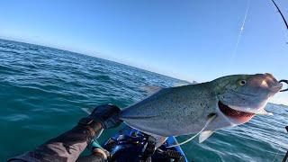 Nice fight with Trevally... Fishing Beach Mauritius 2025