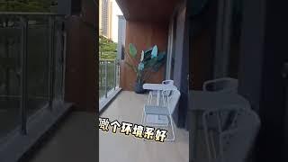中山石岐華僑城精裝別墅來啦 #中山房價 #中山房產 #中山買樓 #中山別墅