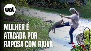 Mulher é atacada por raposa com raiva ao sair de casa nos EUA