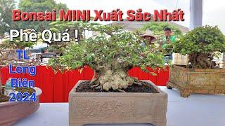 CHIÊM NGƯỠNG MÃN NHÃN giàn cây Bonsai XUẤT SẮC NHẤT với hàng 100 TP tại TL LONG BIÊN 2024 .