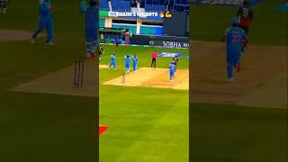 Shami 5 wickets  #indvsban #cricket #championstrophy2025 #championstrophy #trending #cricketlover