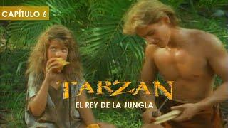 Tarzán y la Niña León | Serie en español latino | Wolf Larson (Tarzán EP.6 S.2)