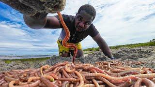 Can Earthworms REALLY Catch You a Boatload of Fish? Discover the Truth