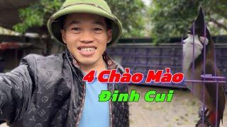 4 Chào Mào VIP Lân _ Đinh Cui, Lưng Tôm Cánh Xệ / Chào Mào Bổi VIP