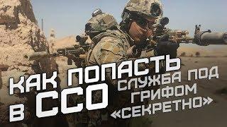 Служба под грифом «секретно»: как попасть в ССО?