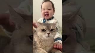 Funny cat videos to watch