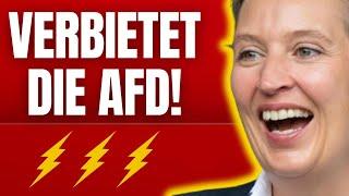   SPD PRÜFT SOFORTIGES AFD VERBOT! 