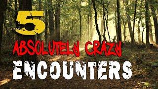 Shadows Fall: 5 Strange and Terrifying Encounters That You'll Find Crazy