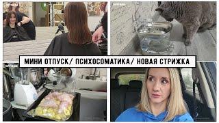 Влог:Ухожу в Мини-отпуск/ Новая стрижка Миленки/ Психосоматика- верю или нет? / Новая поилка Масяни