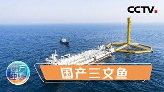 黄海能养三文鱼？前往中国最大深海网箱养殖基地“深蓝一号”一探究竟 20211117 |《远方的家》CCTV中文国际