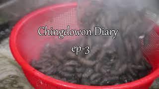 Chingdowon Diary ep-3