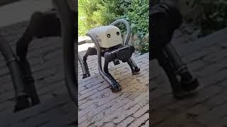 Meet VERO  The Beach Cleaning Robot!