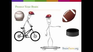 Brain Awareness Week Classroom Activities