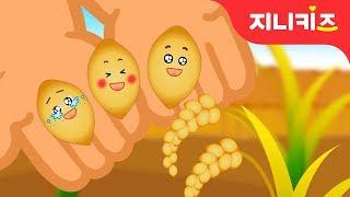 세 쌍둥이 낟알의 모험 | 가을동화 | 음식동화 | 창의동화지니키즈