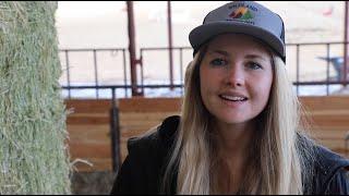 Wildland Llamas Ranch Updates During Covid-19. 2.0 - EP. 8