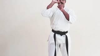 Karate Punches And Strikes / Nukite/ Ipon Nukite/ Nihon Nukite In Malayalam