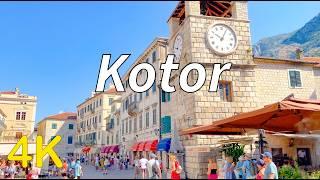 Kotor Montenegro 4K Walking Tour - August 2024