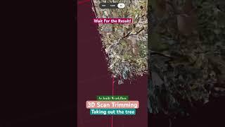 As built Workflow - Trimming 3D Scan to see building view #architecture #asbuilt #matterport