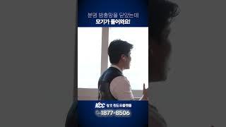 방충망을 쳐도 벌레가 들어오는 이유