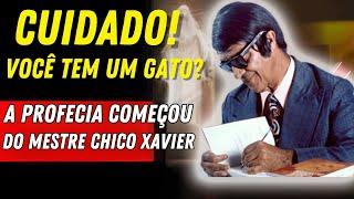 O que Chico Xavier previu para aqueles que têm um gato em casa já começou, e TODOS ESTÃO EM CHOQUE.