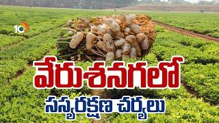 వేరుశనగలో సస్యరక్షణ చర్యలు | Matti Manishi | Groundnut Cultivation | 10TV