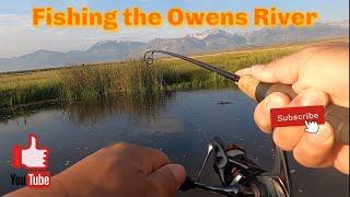 Episode 68:  Fishing the Owens River at Brown’s Campground