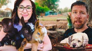 Welcoming new BABY GOATS...and saying goodbye to our 16-year old dog