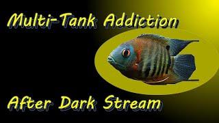 Multi-Tank Addiction After Dark