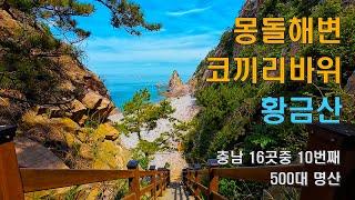 몽돌해변 코끼리바위 황금산 충남 16곳중 10번째 500대 명산