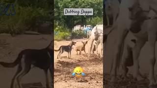 Dey Tacklusuuu, Sivasaami  || Dubbing Dappa #funny #shorts #dog #shortsfeed #doglover #funnyanimals