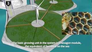 Baoguang Zhai - Age of Oceans - The Seasteading Institute