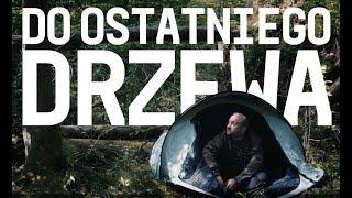 Do ostatniego drzewa / ostatniedrzewo.pl