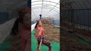 이명화 진짜배기 #이명화 #랄랄 #진짜배기 #들깨아줌마 #춤추는농사꾼 #최강동안농장  #생들기름짜는농장
