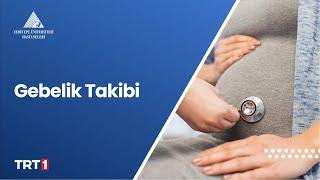 Gebelik Takibi