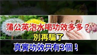 蒲公英泡水喝功效多多？別再騙了，真實功效只有3個！，[健康之家]